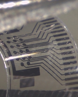 flexible biosensor Fraunhofer ISIT
